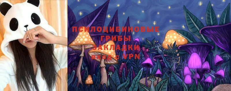 Псилоцибиновые грибы Magic Shrooms  гидра ССЫЛКА  Фрязино 